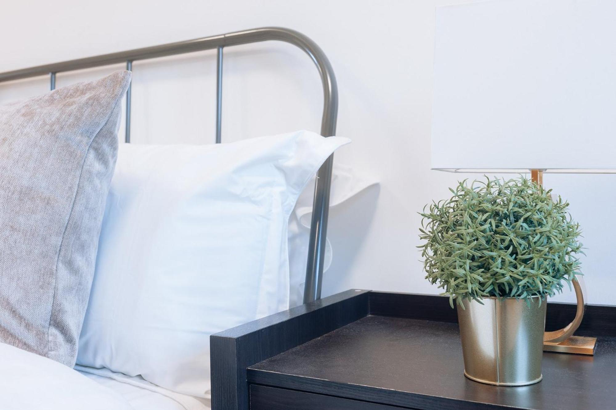 לונדון Curzon Residences מראה חיצוני תמונה